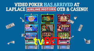 tvbet App Interface